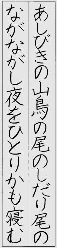 小6　柳井伯斗