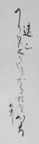 中学　小林彩葉